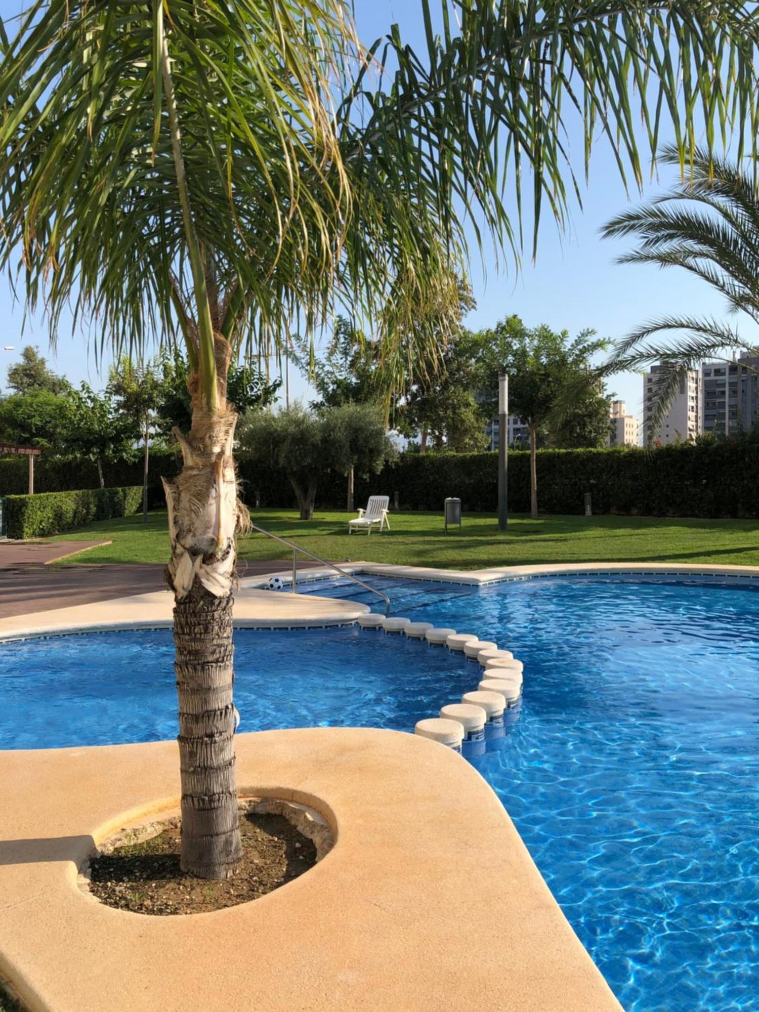 New Apartment In San Juan Playa, Alicante Pau5 Zewnętrze zdjęcie